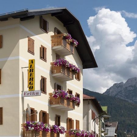 Hotel Erika Auronzo di Cadore Ngoại thất bức ảnh
