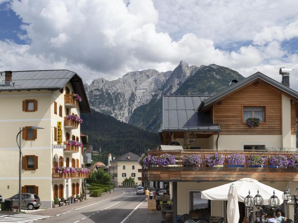 Hotel Erika Auronzo di Cadore Ngoại thất bức ảnh
