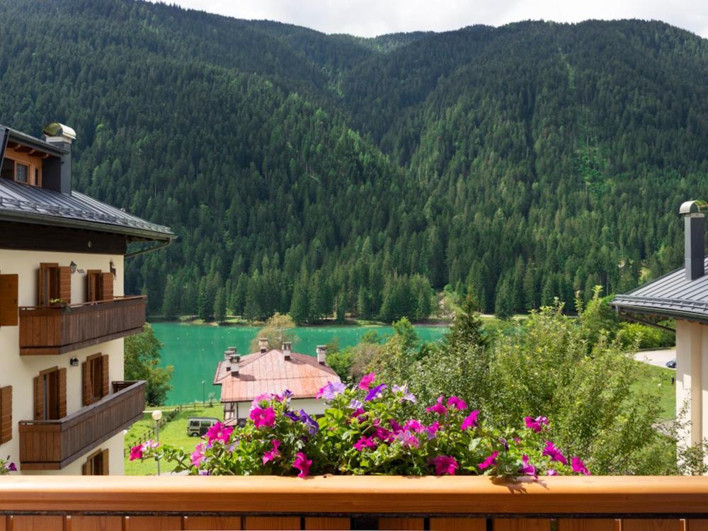 Hotel Erika Auronzo di Cadore Ngoại thất bức ảnh